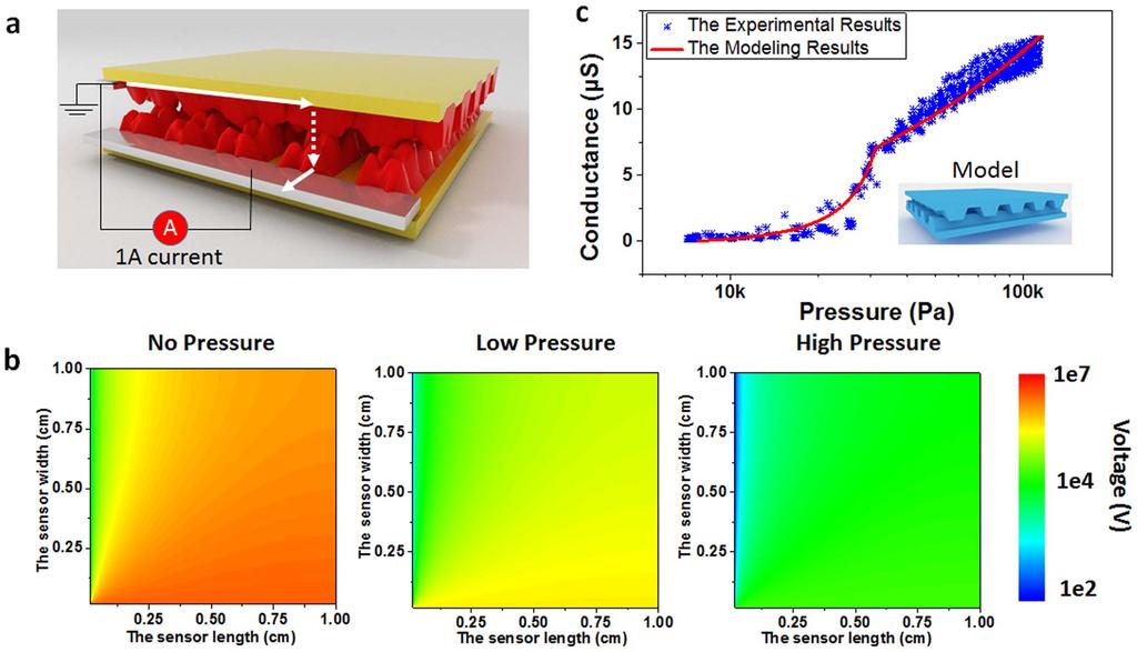 Figure 3 Modeling results of the LSG pressure sensor. (a) The simulation model of the LSG pressure sensor. (b) Voltage drop distribution on the device surface under different pressures.