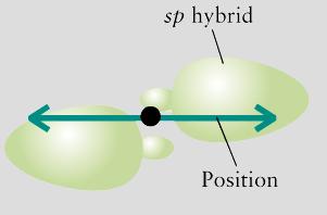 sp ybrid rbitals each sp hybrid orbital has two lobes of unequal size the sign of the wave function is positive in one lobe, negative in the other, and zero at the nucleus z unhybridized 2p orbitals