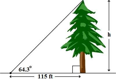 Right Triangle Trigonometry Application: Angle of Elevation From apoint115 feet from thebase of a tree, the angle of elevation to the top of the