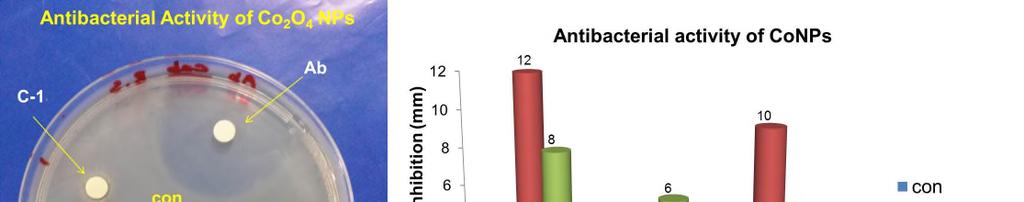 The antibacterial efficacy of cobalt oxide nanoparticles (Co 2 O 4 NPs) at three different concentrations (C-1, C-2, and C-3) along with positive (Ab) and negative conrtol (con) against B.