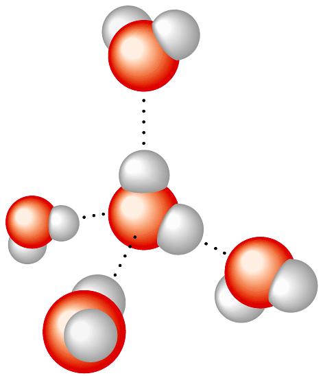 δ+ δ + δ- δ + δ- δ+ δ- 1. Name the type of bonds shown between the water molecules. Hydrogen bonds 2.