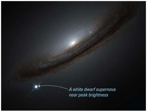 White-dwarf supernovae can