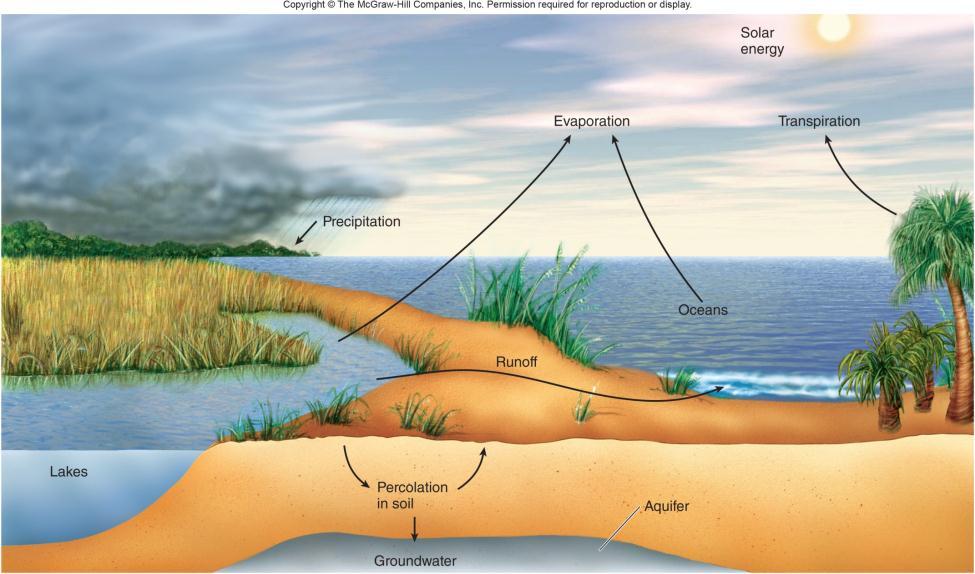 Biogeochemical Cycles In contrast to the one-way flow of energy, materials (such as water, carbon and