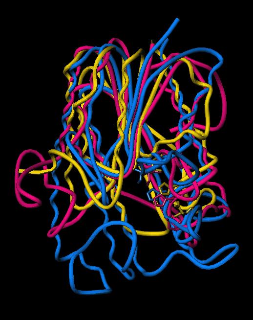 Structure & Evolution Rhamnogalacturonan acetylesterase Serine esterase Platelet