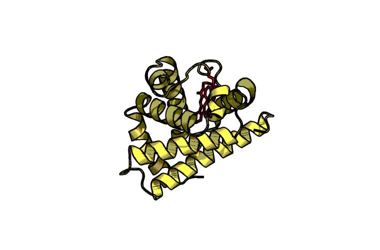 Quaternary Structure Assembly of monomers/subunits into protein complex