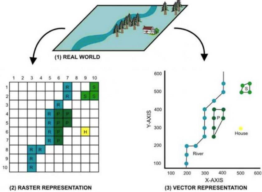 vector data model: [data models] A representation of the world using points, lines, and polygons.