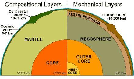 The continental crustal plates are made mostly of, have a lower density than oceanic crustal plates and are thicker.