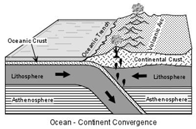 Convergent Boundaries Oceanic - Continental When an Oceanic Plate and a Continental Plate, the dense oceanic