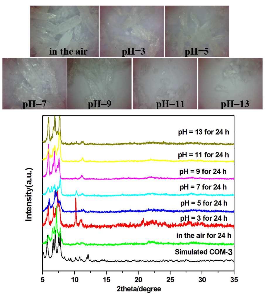 Figure S32 Chemical stability tests of COM-3, including the photos and PXRD patterns of samples treated in different conditions.