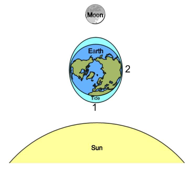 Use the diagram below to answer questions 20 and 21. 20. What causes the tides to change? (A) The Sun s pull on the Moon. (B) The Earth s pull on the Sun. (C) The Earth s pull on the Moon.
