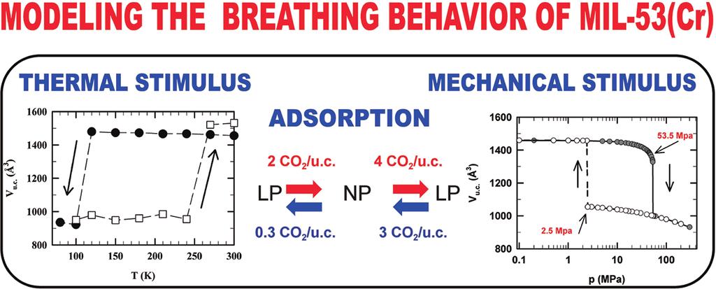 pubs.acs.org/jpcc Comparative Guest, Thermal, and Mechanical Breathing of the Porous Metal Organic Framework MIL-53(Cr): A Computational Exploration Supported by Experiments A. Ghoufi,*, A.