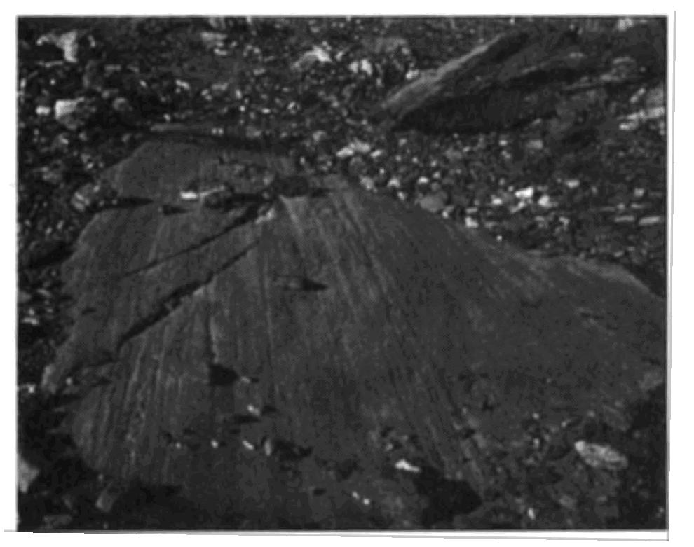 lake covered the bedrock 3) a glacier dragged rocks over the bedrock 4) rocks from a landslide slid along the bedrock 49.