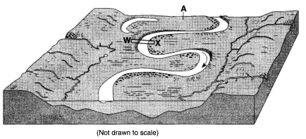 77. Base your answer to the following question on the block diagram below, which represents the landscape features associated with a meandering stream. WX is the location of a cross section.