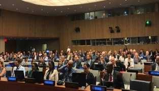 Seventh Session of the Committee of Experts UN-GGIM Decision 7/106 (c) Endorsed