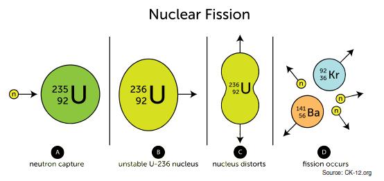 Spontaneous and induced fissions (3) Fission is much more frequent if the nucleus is in an excited state occurs if a heavy nucleus absorb energy from a neutron or a photon formation of an an