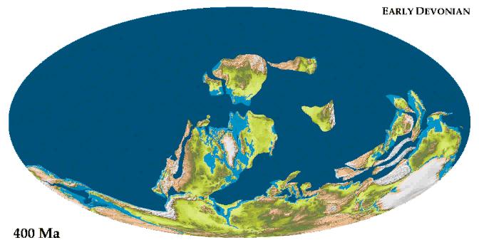 Plate tectonics: continents in motion Continents are carried by