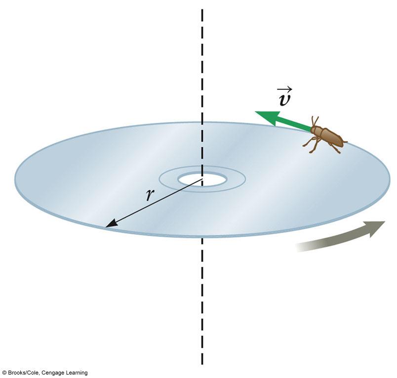 Review Question 22 For the bug on the spinning CD (at constant rate) in uniform circular motion, which of