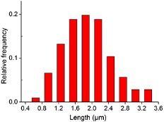 (c). Inset: length distribution of