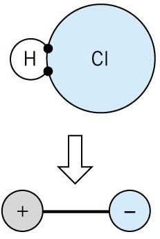 Physical Bonds: Polar Molecule Can induce dipoles in adjacent nonpolar molecules.