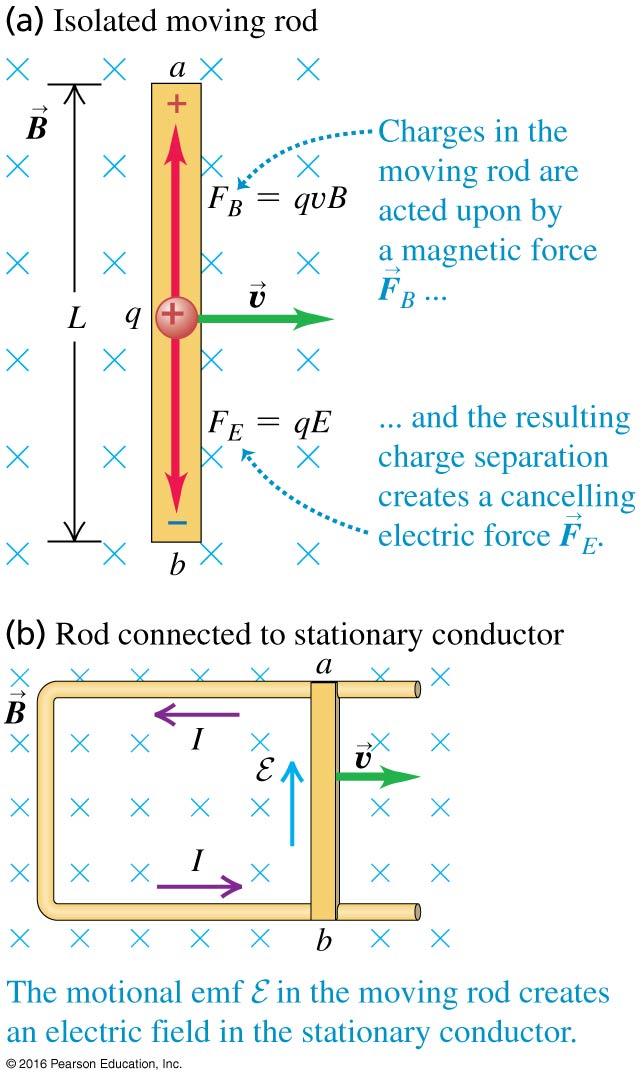 4 Motional Electromotive Force Figure 12: This figure shows a conducting rod moving in a uniform magnetic field. The velocity of the rod and the field are mutually perpendicular.