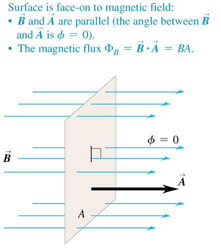 Magnetic flux through a flat area: Orientation 1 of 3 The maximum magnetic flux through a surface