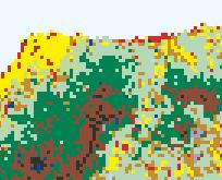 land Others (city area) * Produced from the 1:50,000 vegetation map, in