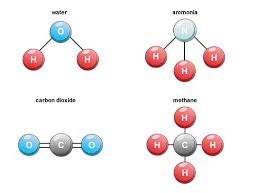 which associate through chemical bonds.