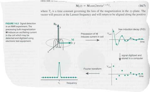 Fourier transform of these oscillations give the entire NMR spectrum Intense pulse of radio freq. in coil perpendicular changes ratio of up/down from.9999 to 1.0 Causes coherent motion of the 0.