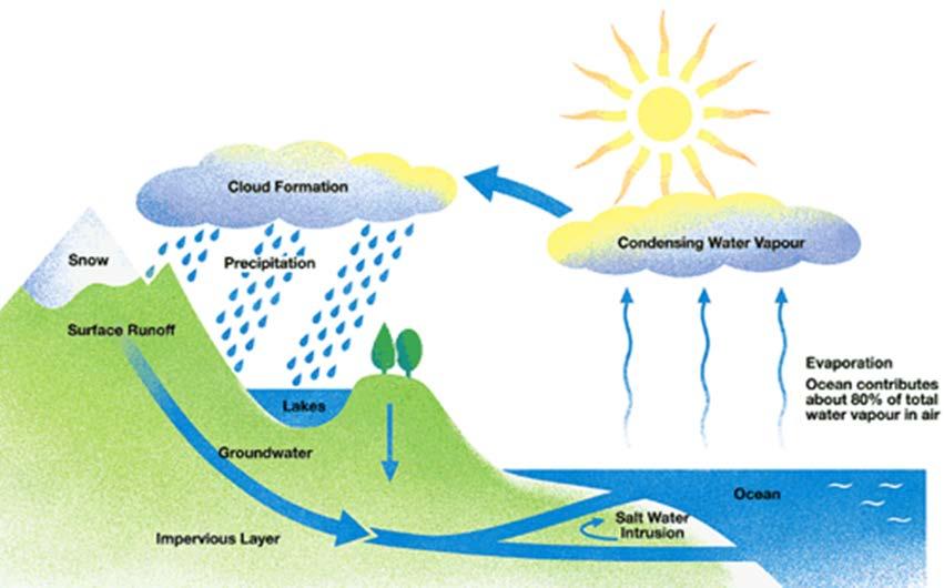 Example: Water Cycle You may be familiar with the water cycle in which water moves from the Earth s atmosphere to the surface