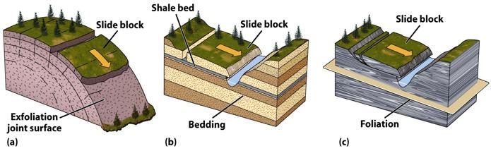 Failure Surfaces Weak subsurface layers can initiate motion.