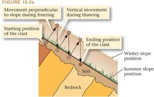 Types of Mass Wasting Creep Slow downhill movement of