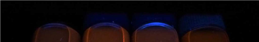 Figure S2. As-prepared reaction mixtures under UV light. From left to right, these samples were produced using mass ratios of urea to p-phenylenediamine of 0.1, 0.6, 1.0, 2.5, 4.0 and 6.