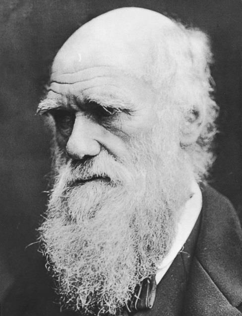 Charles Darwin Naturalist born in 1809. During Darwin s time, scientists were beginning to realize the world was much older than they originally thought.