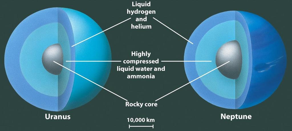 Both Uranus and Neptune may have a rocky core surrounded by a mantle of water and ammonia Water and ammonia have been compressed into a slushy.