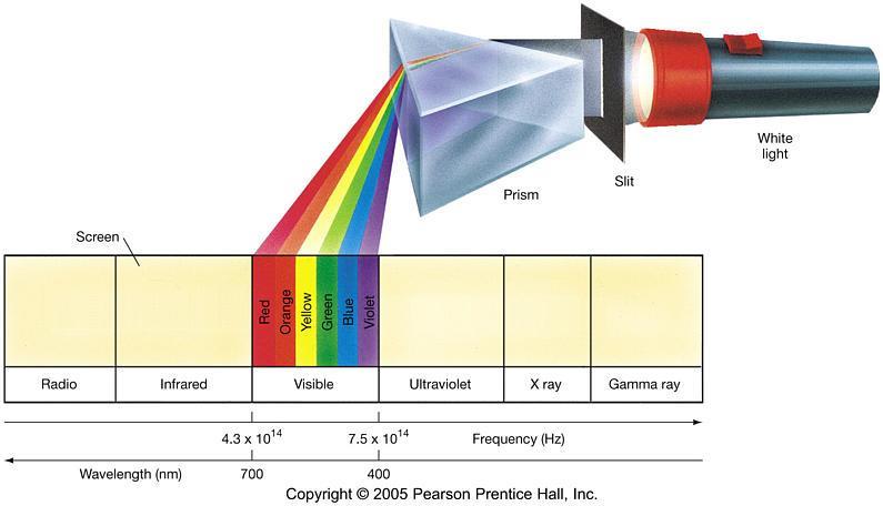 When white light shines through a PRISM (as seen below), the white light is broken apart into the colors of the visible light spectrum.
