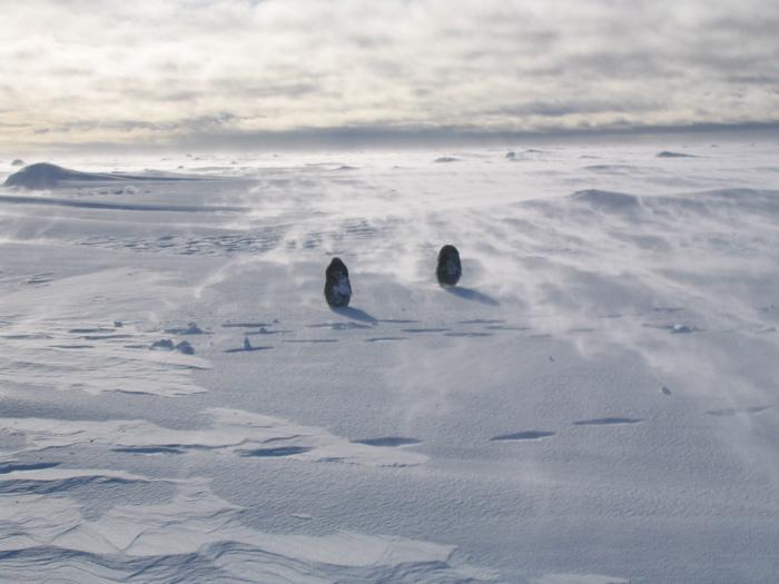 Figure 1: Windblown snow drifting across the surface of a large sea ice floe in (approximately)10 knot winds in the Amundsen sea, March 2007.