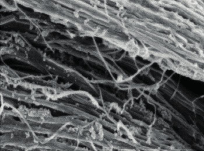 c,d SEM images of an Fe3O4/multi-walled carbon nanotube (MWCNT) hybrid fibre at low and high magnification, respectively. e A schematic illustration of the components of a Fe3O4/ MWCNT DSSC fibre.