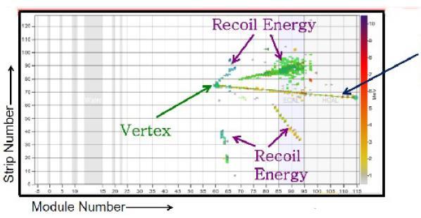 target recoil energy E REC reconstructed calorimetrically E n = E m + E REC study: absolute cross section of