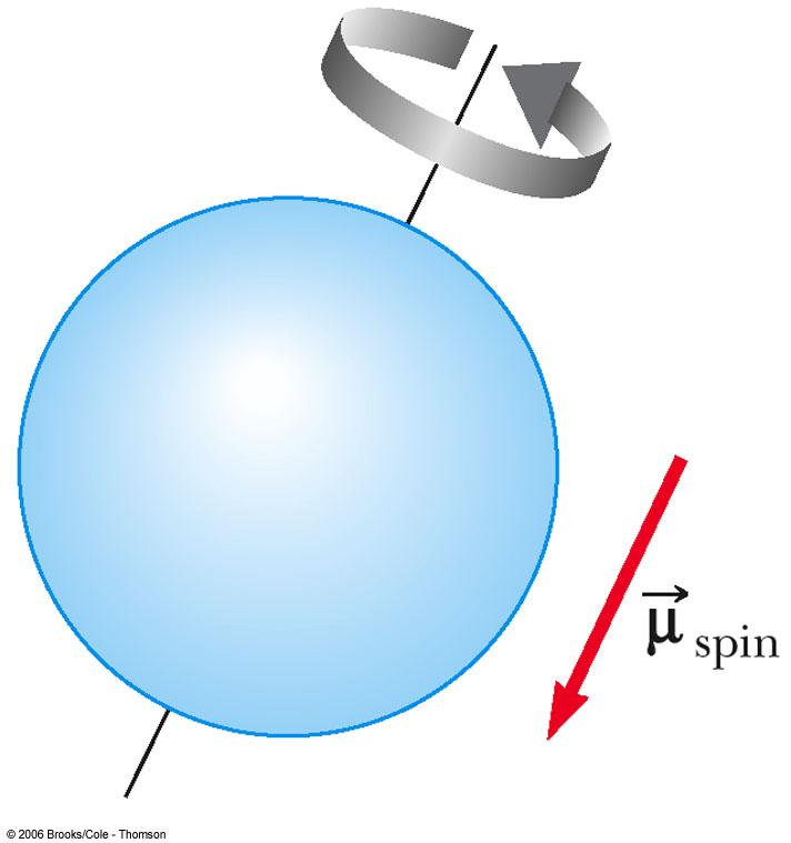 Magnetic Effects of Electrons Spins Electrons also have spin The classical