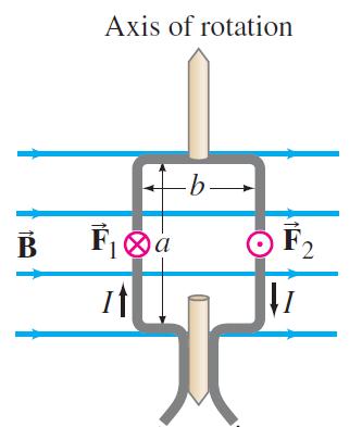 7. Torque on a current loop Consider a closed loop of wire placed in a static magnetic field as depicted.