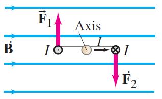 The magnitude of the Lorentz force is F 1 = F 2 = BIa Therefore, the total torque is τ = F 1 b 2 + F 2 b 2 = BIab = BIA If the coil