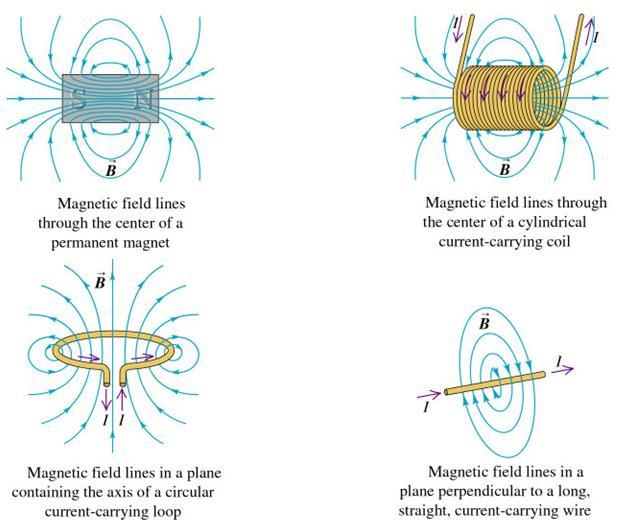 Magnetic Field Magnetic field lines for various magnetic sources A compass can be used to probe the magnetic field lines produced by