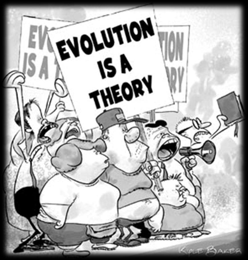 Evolution is a Theory Just like Gravity!