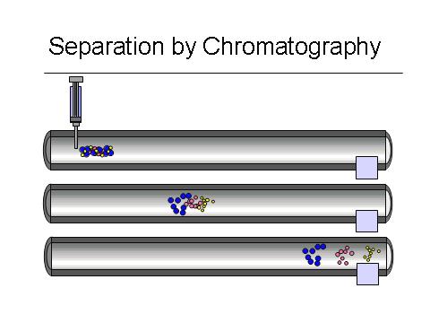 Chromatography is a dynamic process where the mobile phase moves in definite direction, by a controlled rate, on the stationary phase.