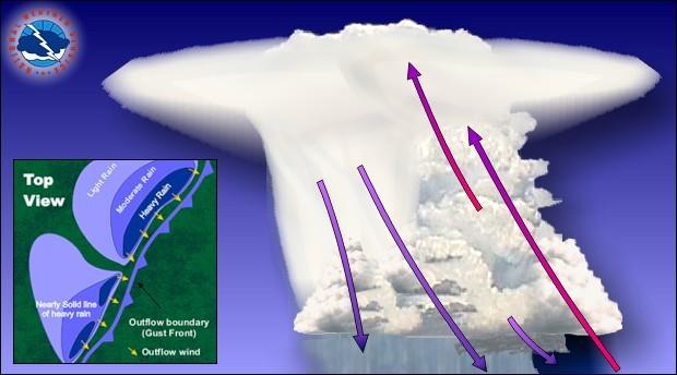 2. Squall lines Average 500 km in length Long lines of individual storm cells 1. Along a cold front 2.