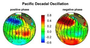 Interdecadal Pacific Oscillation Climate shifts driven by Interdecadal Pacific Oscillation (IPO) This is an ENSO like feature of the climate system, but on longer time scales