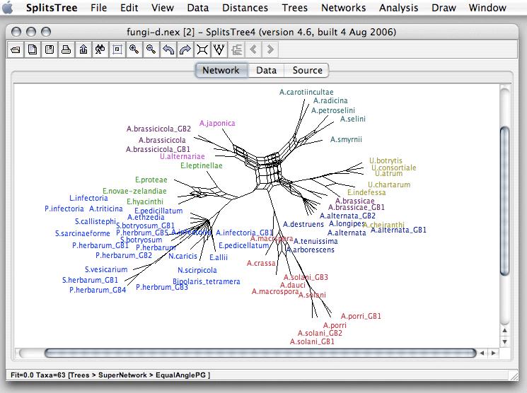 7 Phylogenetic Networks Figure