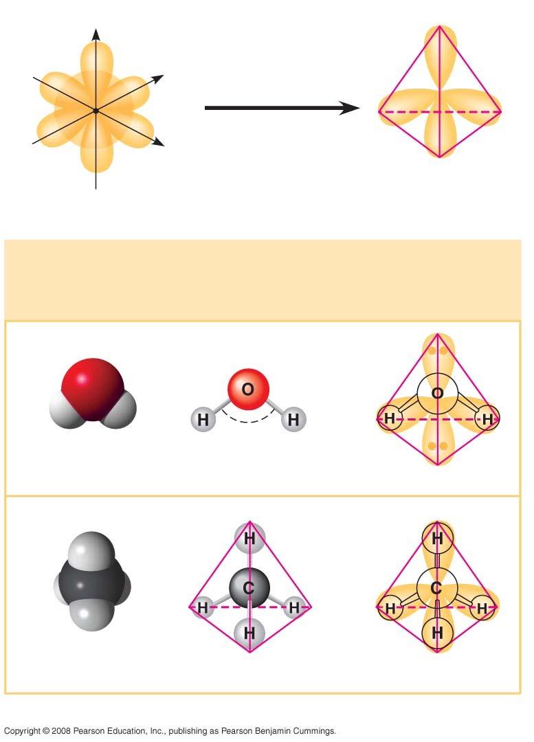 Fig. 2-17 Molecular shapes due to hybrid orbitals s orbital z x y Three p orbitals Four hybrid orbitals (a) Hybridization of orbitals Tetrahedron Space-filling Model