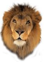 LEO (the lion) says GER Loss of