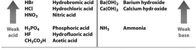 Common Acids and Bases You need to KNOW these!!! Acid-Base Neutralization What does neutralization mean? How might these two solutions react when combined?